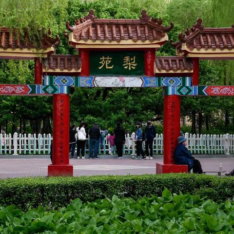 闹中取静的市内公园