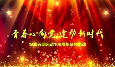 叶县田庄乡张申庄小学举行“青春心向党、建功新时代”活动