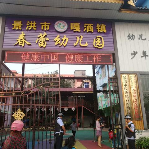 景洪市嘎洒镇春蕾幼儿园《职业病防治法》的宣传