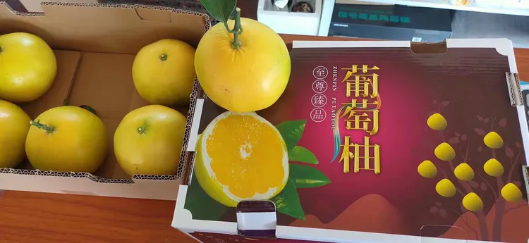 葡萄柚在哪里种植