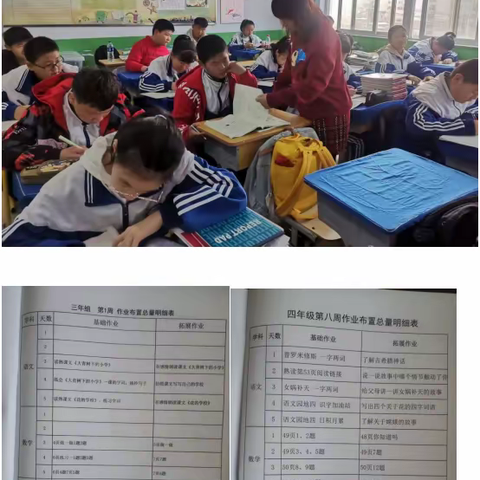 扎实推进"双减"，作业提质减量