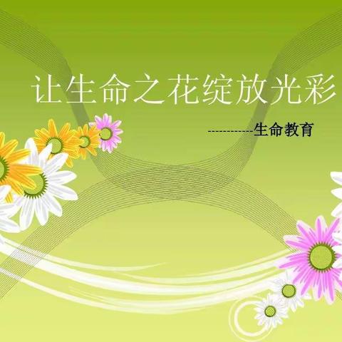 让生命之花绽放光彩
