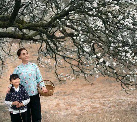 杏花开了，我在南山等你回来