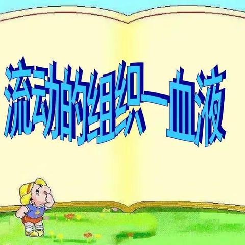 信阳市第九中学：王晓冉