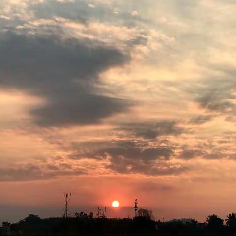 七五班小黑仔们变黑记