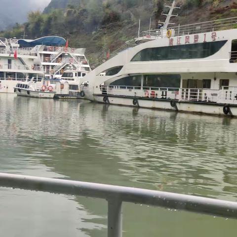 善羊的美篇
