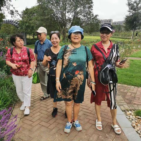 善羊的美篇