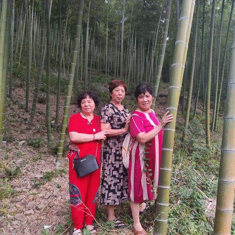善羊的美篇