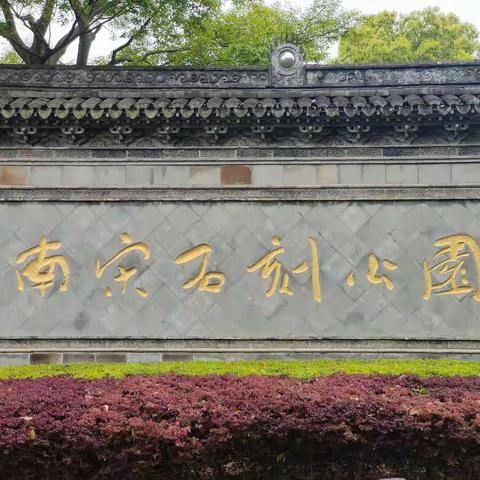 善羊的美篇