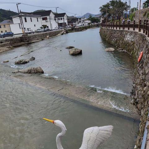 善羊的美篇