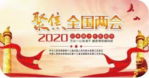 〖乘两会东风，奋发有为正当时〗——————七年级2班参加网络升旗《青春告白祖国》系列教育（十二）活动纪实