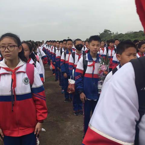 遇见春天，遇见美好