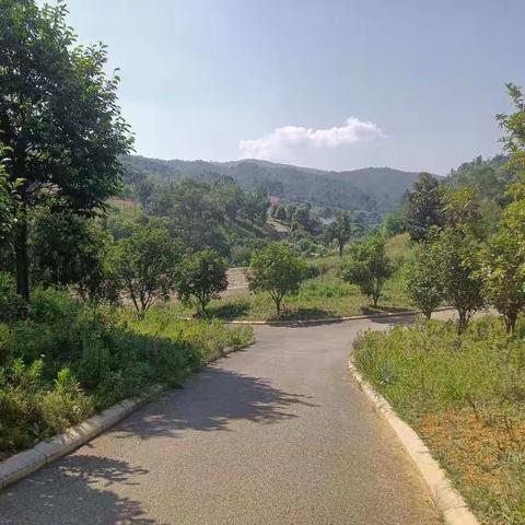 快乐秋游，回归自然。