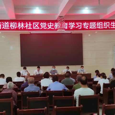 四皓街道柳林社区召开党史学习教育专题组织生活会