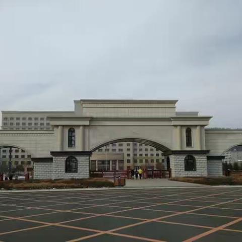 白山市音乐家协会直属合唱团去图书馆志愿服务
