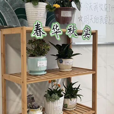 各尽其美展风采，润物无声绽芳华——临沂第二十一中学七年级样板班级展示第二周