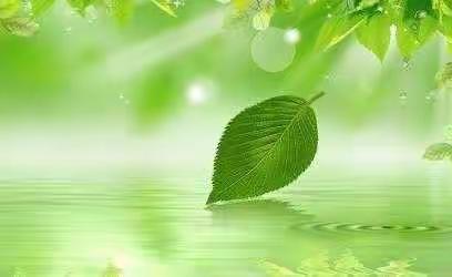 我为群众办实事   支付降费见实效