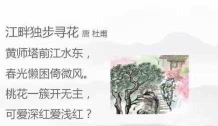 飞落浣花溪畔的唐诗•走近诗圣杜甫——迎宾路小学四年级三班抗疫延学之快乐学语文