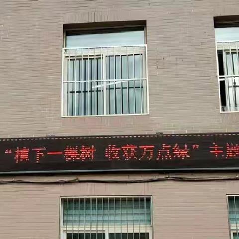 西十路小学六(2)中队“植下一棵树 收获万点绿”主题升旗仪式