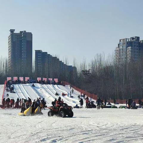 梦幻滑雪🎄🎄森林公园滑雪❄️❄️❄️❄️🌨🌨