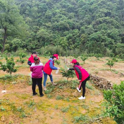 “好雨”知时节，全力助春耕--日溪党员志愿者在行动
