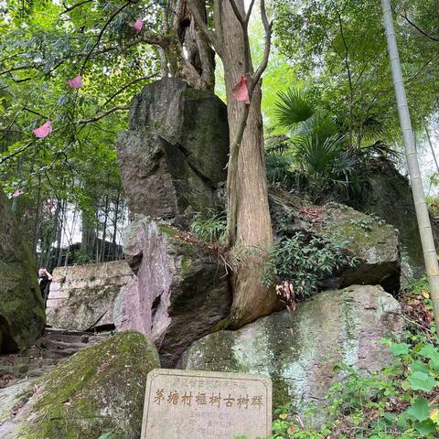 金山银山，萃溪璜山