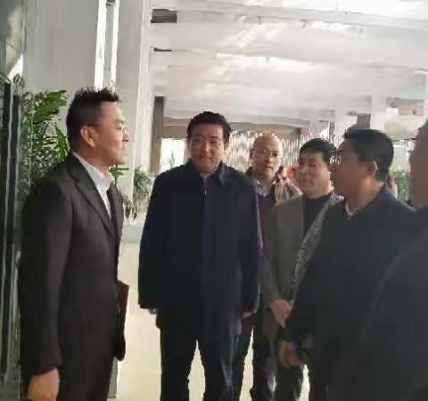 市区领导莅临指导，华龙总裁挚诚汇报