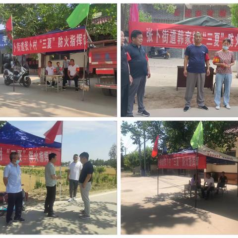 三夏收割开镰  抢收抢种保产——张卜街道全面落实全区三夏、防汛、河湖长制、林长制工作安排部署会议精神