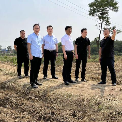 区级包抓领导雷承立到张卜街道督导检查当前重点工作