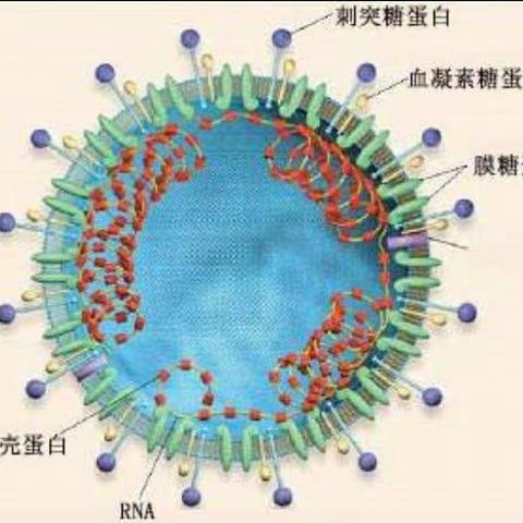 常德市妇联阳光幼儿园预防新型冠状病毒感染告知家长书！