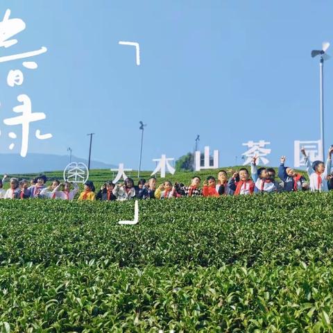 不负春光 与茶同行 ——— 新兴镇小学集团学校开展春游研学活动