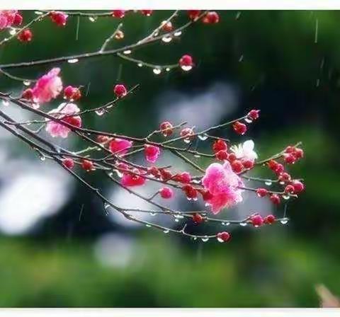 春雨润身  书香润心——于都县靖石乡黄沙小学三（1）班阅读交流会