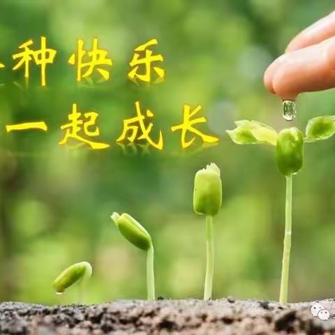 我和种子一起成长