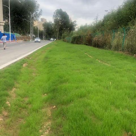 对天迈钰惠小区道路及周边环境综合整治项目进行预验收工作