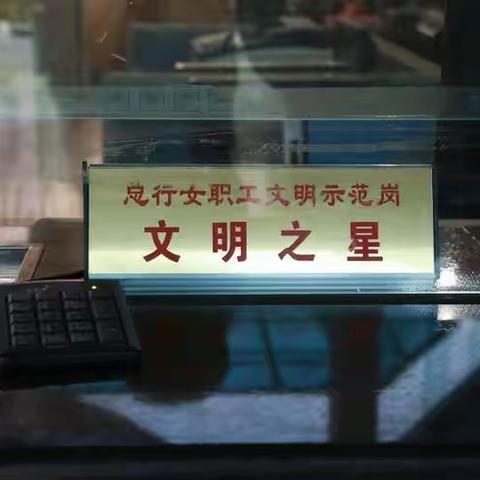 全面建成小康社会 央行巾帼建功有力量——怀化市中支支付结算科