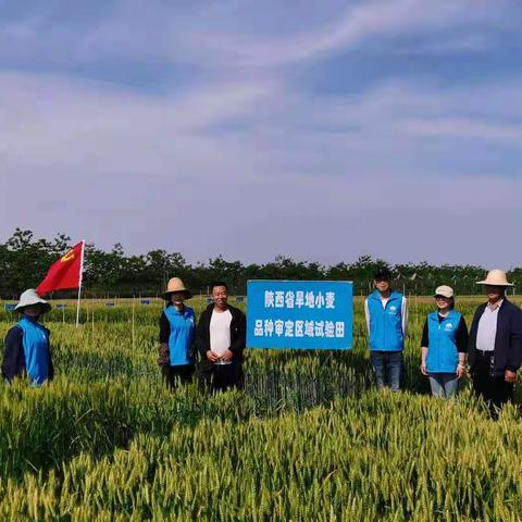 四字理念学党史，为民服务见行动