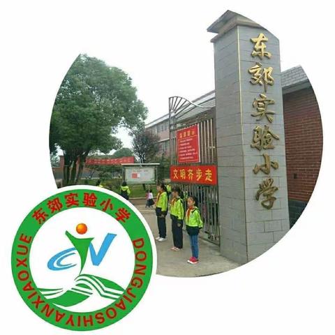 「东郊实验小学」多彩社团，助力“双减”