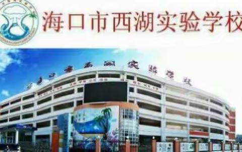 争做新时代好队员--集结在星星的火炬下