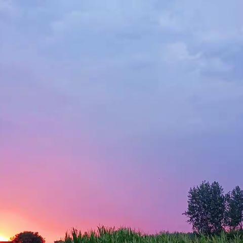 娃们心中的梦想