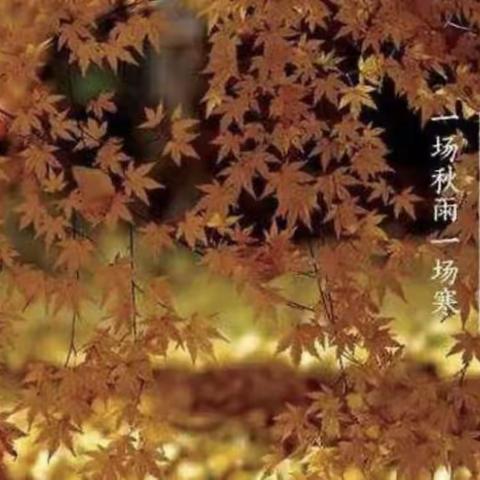 【云兴土山寺】秋分｜昼夜均  寒暑平