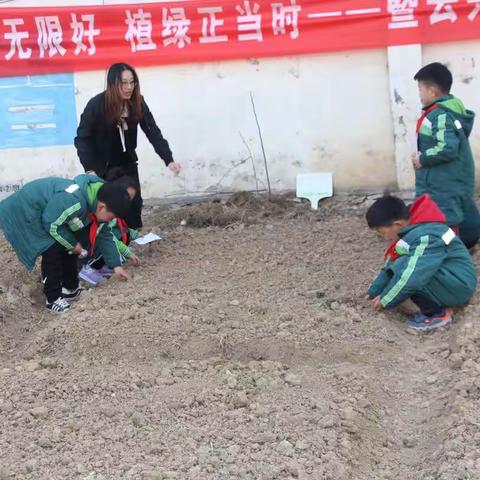 【云兴土山寺】春光无限好，植绿正当时