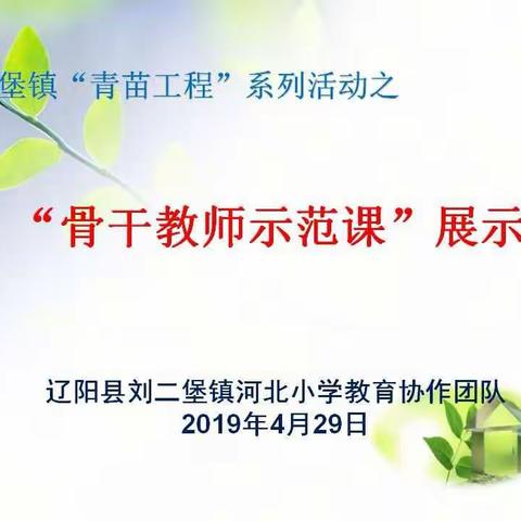 名师展风华，引领促成长—记刘二堡镇河北小学教育协作团队“青苗工程”系列活动