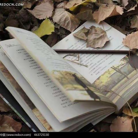 温馨四月 书韵飘香    ﻿        ——杨小六年级读书活动