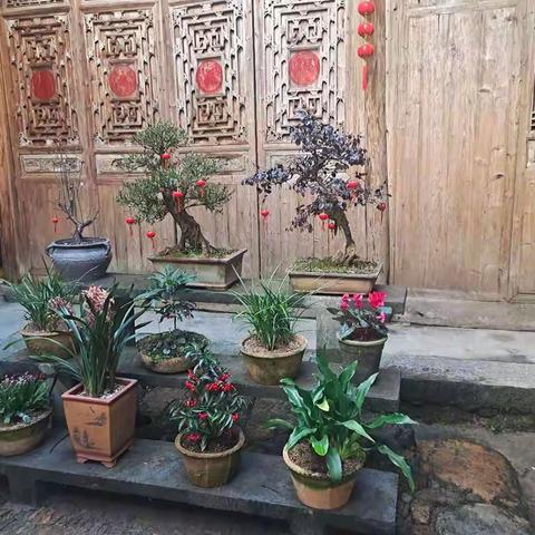 2021牛气冲天，加油！！！                三（3）班   孙籽优