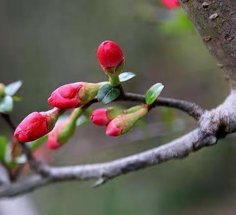 【圆梦孟园·智育】疫情当前，备战中考，静待春暖花开