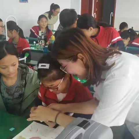 聚焦学科素养，人人参与提高——临沂孟园实验学校组内研讨课暨“素养—活动”课堂纪实