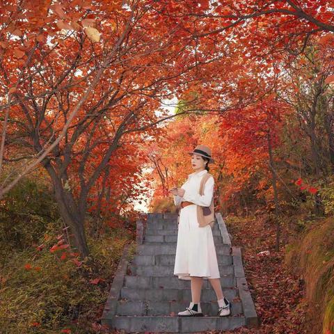 荆紫仙山秋色可餐