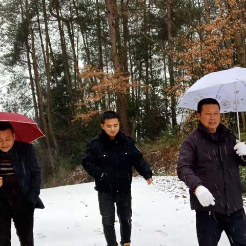 大雪封路，封不住心系贫困户的心！