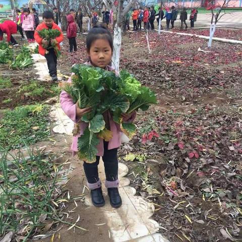 汶南镇中心幼儿园大一班                                              ————《瑞雪大丰收》