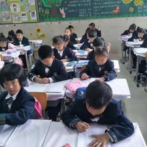 计算小能手，逐步建高楼——橡小一年级组